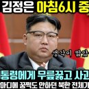 (속보) 김정은 중대발표-"한국대통령에게 무릅꿇고 사과하겠다" 믿거나 말거나... 이미지