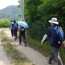 고양누리길 11코스 송강누리길 이미지
