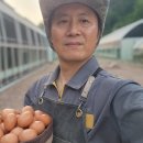 우리팜스 이미지