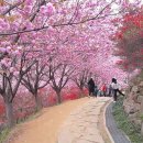 완산-24 이미지