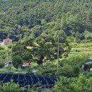 양동회관 이미지