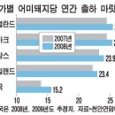 양돈산업 이미지