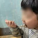 송탄출장소 | 송탄출장소 맛집 : 아이랑 민지양꼬치 후기