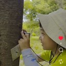 [숲체험] 여름 숲과 반갑게 인사해요☀️ 이미지