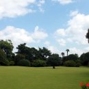 (주)삼영관광 일출랜드 이미지