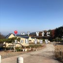 팔공산글램핑 | 대구 근교 글램핑 추천 | 팔공산 신축 감성 숙소 트리풀 후기 (Full2)