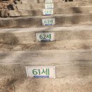건강150세
