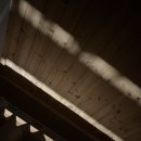 또랑 | 251221 제주1일차(+또랑게스트하우스 솔직후기)