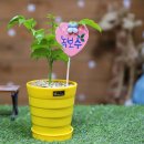 범일초등병설유치원 이미지