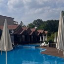 양지팬션 이미지