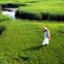 우리 함께 살기 위하여 이미지