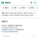 이스타 이미지