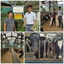 기효목장 이미지