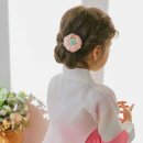 꽃지한복 이미지