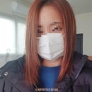 미니블리 일상 :: 토리헤어 옥계점 매직, BMW 미니, 후꾸스시