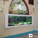 푸른자연유치원 이미지