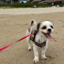 비앤비한의원 이미지