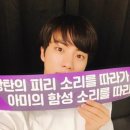 진(Chin) 이미지