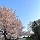 현촌근린공원 이미지