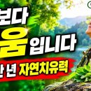 "60세 넘어 약에 의존하기 전에 내 몸 안의 자가수리점을 깨워보면 좋겠습니다-백작가TV 어른심리통 이미지