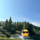 한경골프클럽 | 20241013 사우스스프링스cc 대회 코스 라운딩 후기