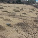 정유재란순절묘역 이미지