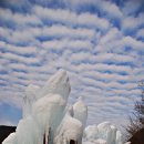 산림욕장 진입로 이미지