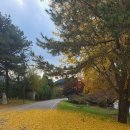 경춘선 자전거도로11 이미지