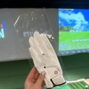 주식회사 더컴퍼니 네오글러브 골프장갑 리뷰