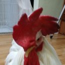 생생마트 이미지