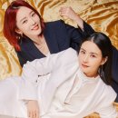 파티사랑
