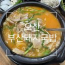 [오산] 오산대 국밥 맛집 ‘부산돼지국밥’ 오산본점 - ‘내돈내산 솔직후기’