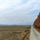 주남목장 이미지