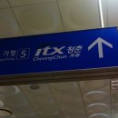 시를 쓰는 오리 이미지