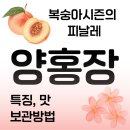 나를품개 | 양홍장 복숭아 특징 맛 보관방법 수확시기 도도팜 공품 후기