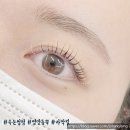 여기브로우