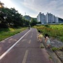 다전어린이집 이미지