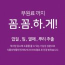 메이킹플라워