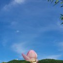 명가식품 - 남동구 | 명가식품