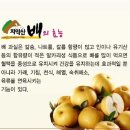 원주원예농협하나로클럽 이미지
