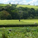 기업농장 이미지