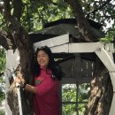 작전목장 이미지