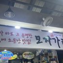 모자가리비 이미지
