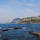 제주 올레길 8코스 이미지