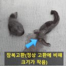 해뜨는 동물병원 이미지