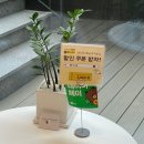 압구정 앤드뮤 프로필 촬영 헤어메이크업 후기 : 연경 헤어대표원장, 채아 메이크업대표원장