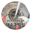 용진펌프 | 완주군하수구막힘 뚫음 봉동 용진 상가 배관 이물질 완벽 깔끔 제거