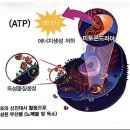 리뉴에너지 이미지