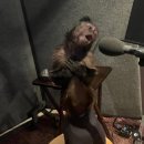 용율 | 대학교 7년 다니면 어쩌지