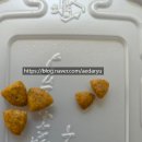 드림독 강아지분양 안심분양센터 김포점 | 말티푸가 직접 먹어본 로얄캐닌 무료체험팩 리뷰